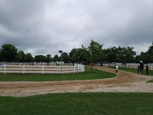 I met Mr Nobles at the GIHP where his granddaughter was showing her horse