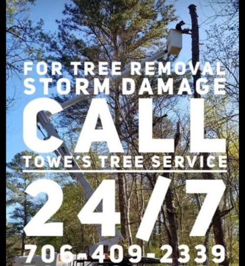  alt='I absolutely love Towes tree service an I would recommend them to anyone'