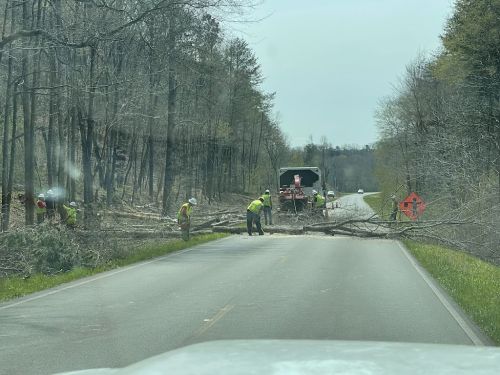  alt='Do not hire a company that can’t keep trees out of the road. The supervisor didn’t seem to be worried when I spoke with him'