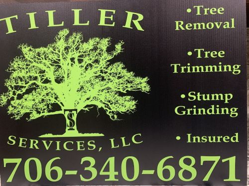  alt='Great local tree service. I used them to take down several trees, prune others, and then grind the stumps'