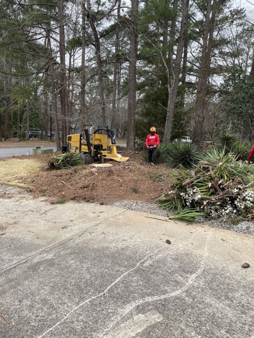  alt='We recently bought a home in Sharpsburg, GA. Needing a lot of trees removed, and the entire perimeter of trees cleaned up'