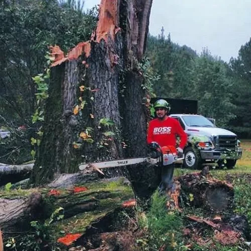 We recently bought a home in Sharpsburg, GA. Needing a lot of trees removed, and the entire perimeter of trees cleaned up