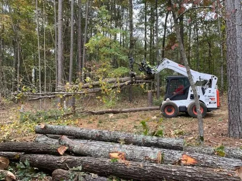 Last month (February 2024), Boss Tree Service removed a massive, 100+ year old pecan tree that was looming over my home