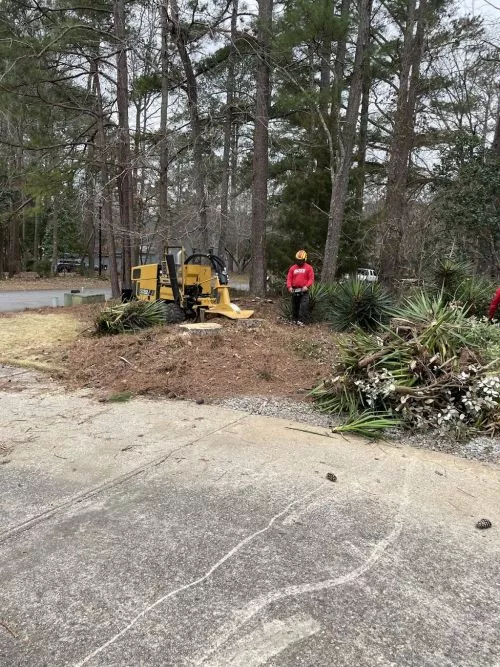 I used other tree services through the years with pretty good service. Boss takes service to another level