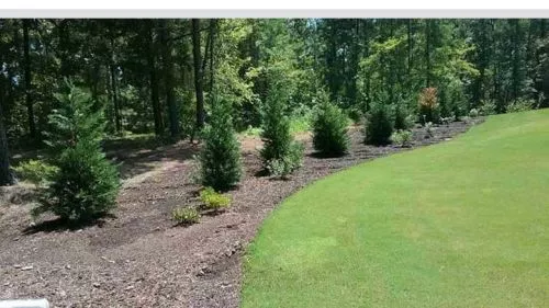 I called FG Landscaping because I had an Irrigation problem. The water wouldn’t stop running