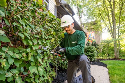  alt='From the expert evaluation and estimate by Dan Johns, to exact pruning by the Davey Crew, the Davey Tree Expert Company'