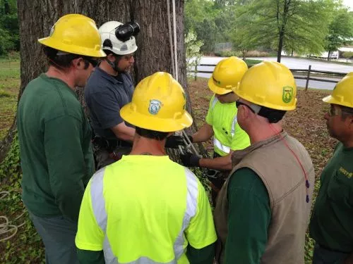 From the expert evaluation and estimate by Dan Johns, to exact pruning by the Davey Crew, the Davey Tree Expert Company