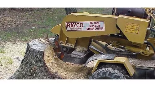 Stuart and his Dad did a great job removing about 10 large stumps, and countless smaller ones for a very reasonable price