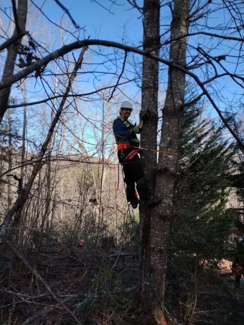 Bo and crew did a great job. The storm caused danage all over, but he came within an hour of our call and assessed