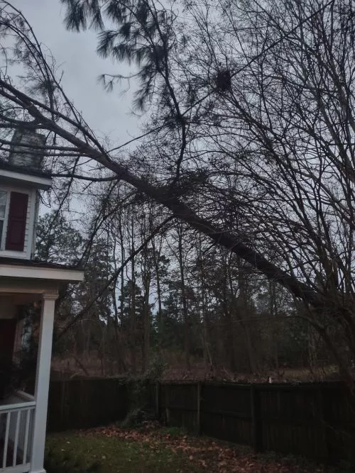 Very professional, polite and knowledgeable. Had a tree fall on my house across power line, on chimney, roof and side of