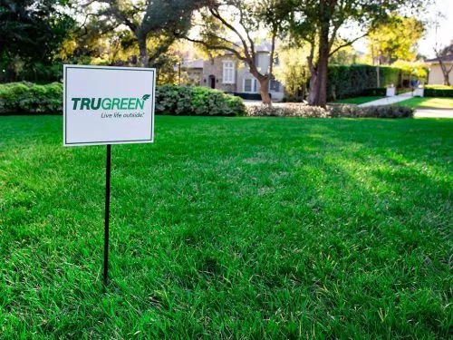 True Green has been very. Helpful in maintaining my yard. The employees are very helpful in informing me of what my yard is