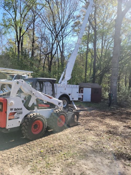  alt='Soles Tree service was recommended to me by 2 other Tree service companies (they had a waiting list of over 4 months & I'