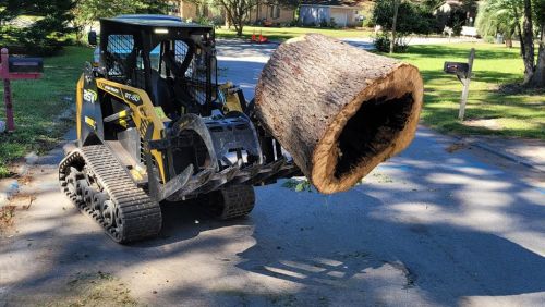  alt='After a severe storm went through my area, I was in the front yard sawing up tree limbs'