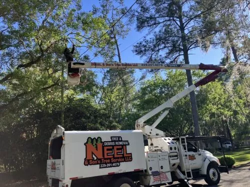 Neel and Sons Tree Service is excellent!! We had a large oak located in a spot that could not be reached with a bucket