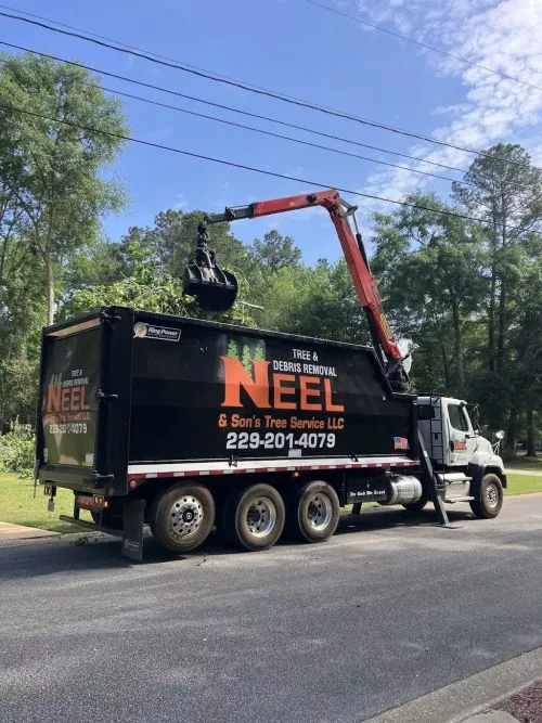 Neel and Sons Tree service far exceeded our expectations as it relates to prompt response (they came out the day we called