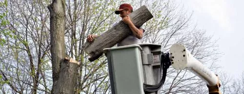 we had storm a few weeks ago that caused server trees to fall on my property and VR Tree Service gave me a fair price to