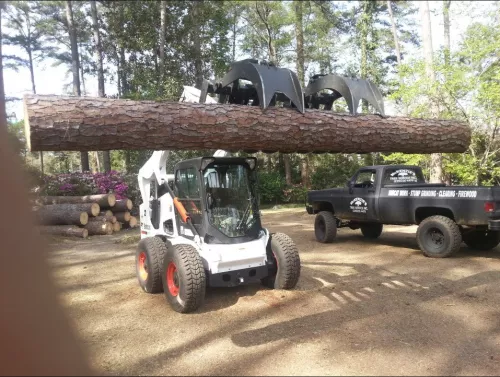 This crew is absolutely amazing. They removed a tree for me today. I can’t even tell they were here!