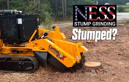 Ness Stump Grinding was amazing to work with from start to finish