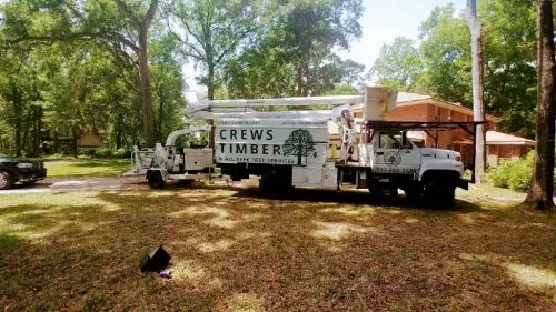 Crews Timber came in and trimmed our large live oaks. They followed the plan we set during the estimate