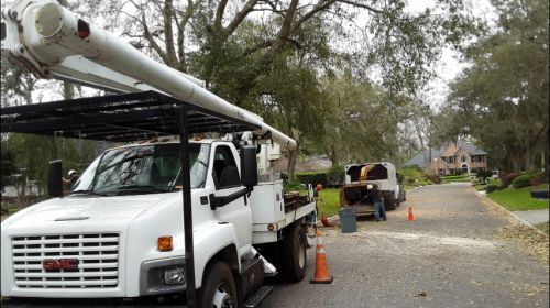  alt='Big shout out to Family Tree Service! Thanks Jacob for coming out and getting my tree trimmed up'