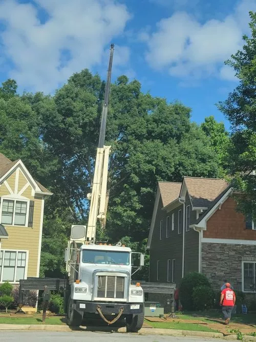 I was referred to Lee"s Tree Service by another company when they felt they couldn"t safely remove a pair of 80ft pines