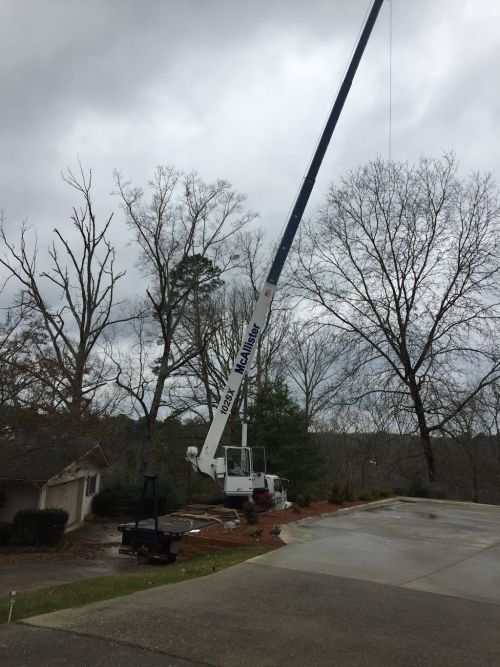  alt='I reached out to them for a quote on work for a new property I’m looking to buy, and they’ve been exceptional from the very'