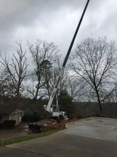 They did such a great job. Arrived on time. Professional. Safe, hard working! Thank you! Highly recommend your company!