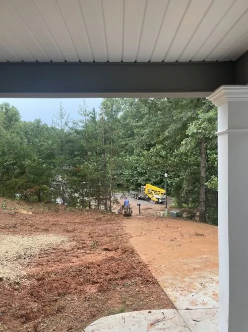 Excellent service! Took down trees, even ones that were located near fences and a building. No issues