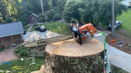 I highly recommend McKay Tree Service! I had a few pines and oaks that needed to be taken down because they were leaning