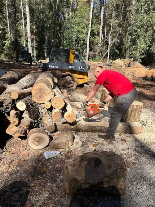 Jeff and company did a wonderful job removing 4 pine trees off my property (two of them were dead and brittle)