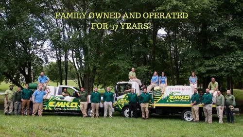 I"ve had a few lawn services in the past several years but none of them have come close to the excellent job that Kemko