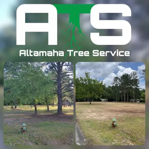 Brandon and his crew did a phenomenal job removing a dead tree and trimming limbs away from the house and pool