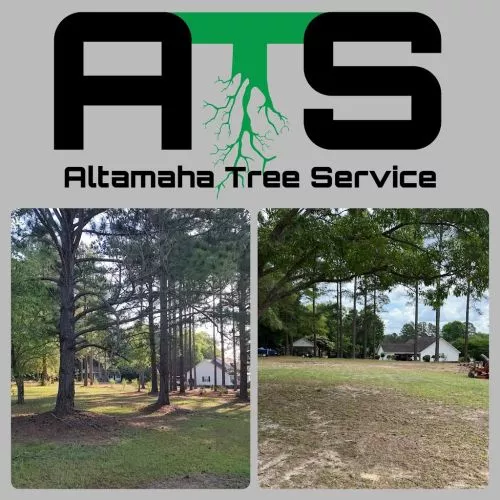 So thankful I received a recommendation for ATS when I needed some large limbs removed from my property that were hanging