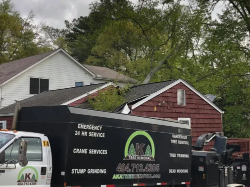  alt='This is the most professional and efficient tree company we have had work on our property. They were polite and friendly'