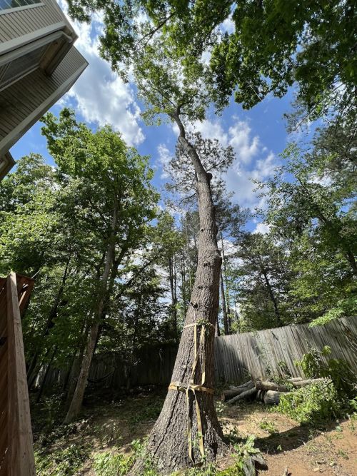  alt='Johnny and Matt were absolutely awesome. Everything they did was thoroughly explained and they answered all our questions'