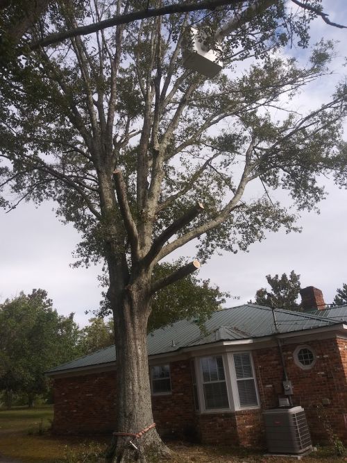  alt='Todd is a very professional and prompt guy! took our call after hours and came out the following morning and make quick'