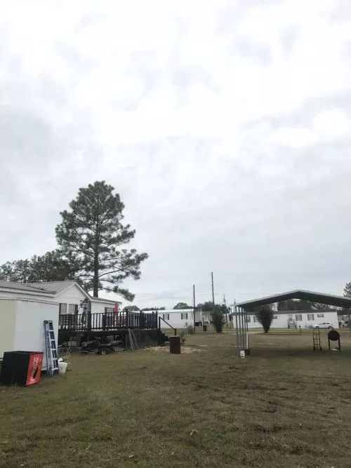 A big thank you to Saucedo tree service for rescuing my brothers cat that had been stuck in a 60ft pine tree for 3 days!