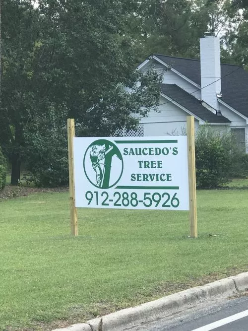 Two old pecan trees hanging over my driveway and house. These guys removed no problem