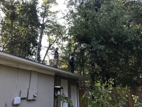 We recently hired the Lee Jr. Tree Service team to remove lots of large overgrown bushes from around our home