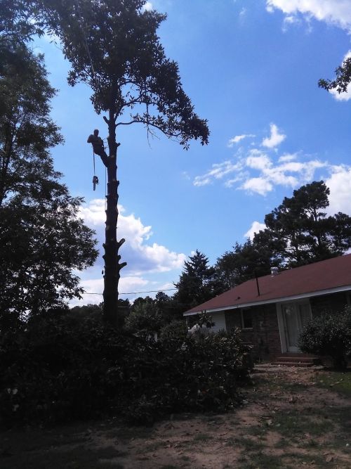  alt='Great service! Saw a previous review and gave them a call to remove a tree that split and fell on my garage roof and'