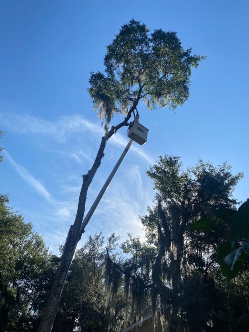  alt='Did a great job! Very professional and communicated with me the whole time'