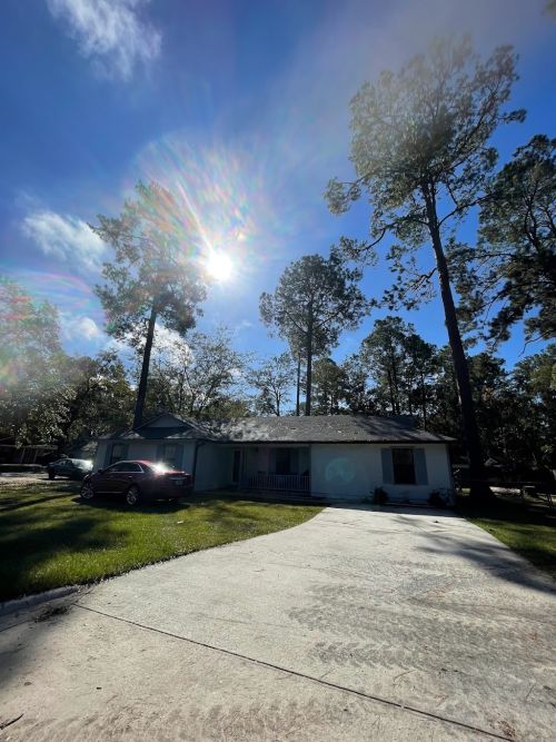  alt='Parker’s Tree service removed a dead pecan tree from our front yard and did a fantastic job'