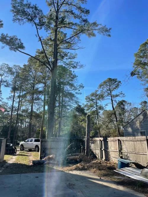 Can’t Say enough good things about The Job that Parker & his crew did at my house