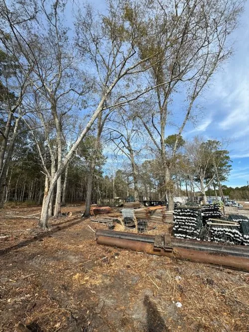 Parker & team did an outstanding job at our house. They cleared n hauled away a pile of tree logs from our front yard