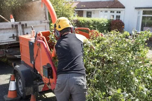 Extremely knowledgeable employees and they were always able to take care of our problems with pruning and tree removal