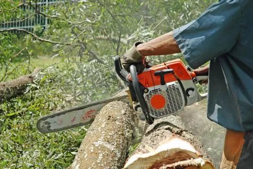 WAT Tree Service - Bremen is the go-to company for tree services