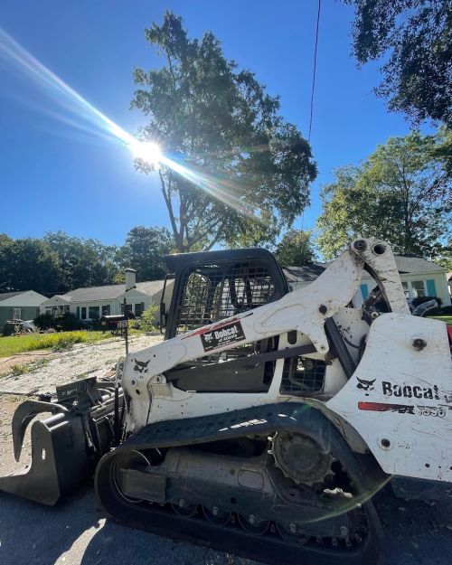  alt='There is a reason why everyone and myself have given TreeDog Atlanta Services 5 stars'