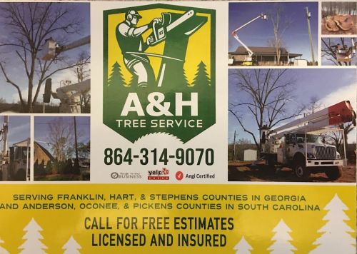  alt='Hired A&H to remove several trees in our yard. The trees were taken down safely with no damage to our house or yard'