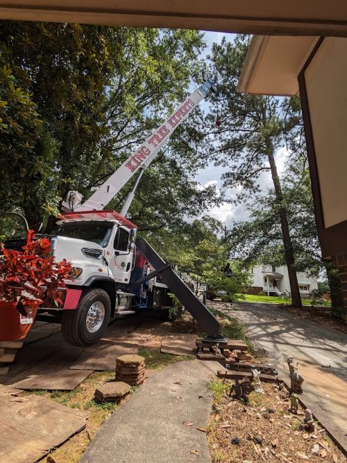  alt='A terrific job taking down two pine trees on the side of our house and an extended low limb over the yard at our house in'