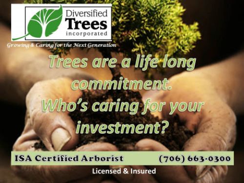  alt='Cory and his staff was very professional and cleaned up the area very well'